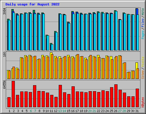 Daily usage for August 2022