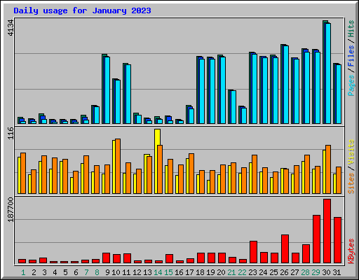 Daily usage for January 2023