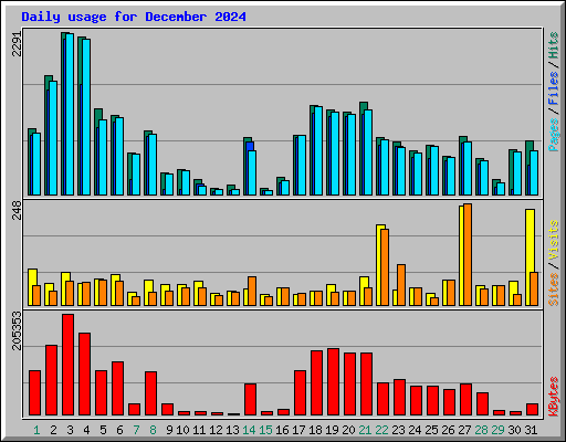 Daily usage for December 2024