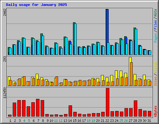 Daily usage for January 2025