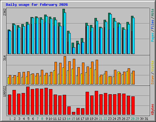 Daily usage for February 2026