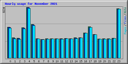 Hourly usage for November 2021