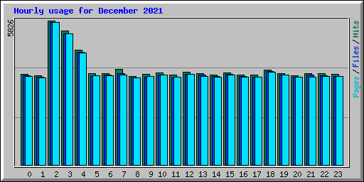 Hourly usage for December 2021