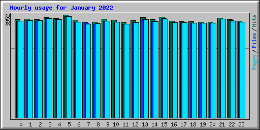 Hourly usage for January 2022