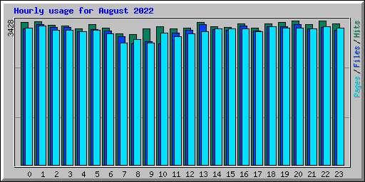 Hourly usage for August 2022