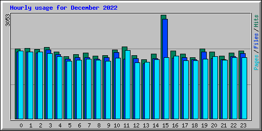 Hourly usage for December 2022