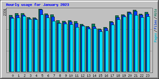 Hourly usage for January 2023