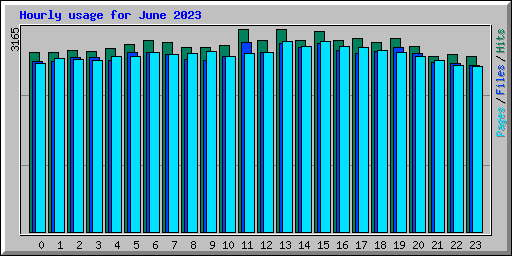 Hourly usage for June 2023