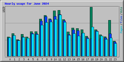 Hourly usage for June 2024