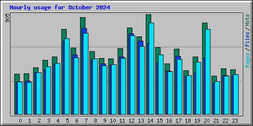 Hourly usage for October 2024