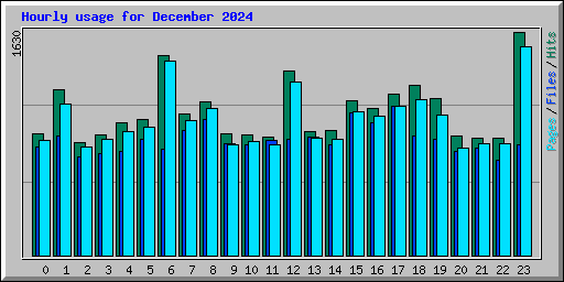 Hourly usage for December 2024