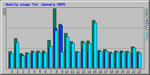 Hourly usage for January 2025