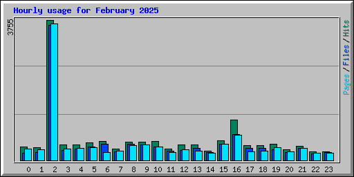 Hourly usage for February 2025