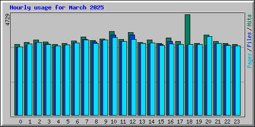 Hourly usage for March 2025