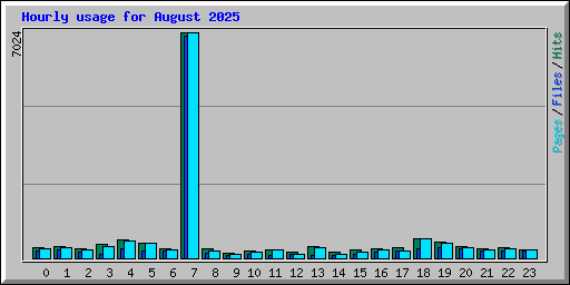 Hourly usage for August 2025
