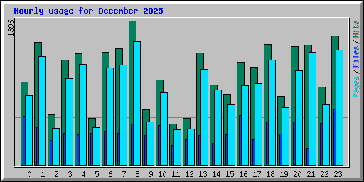 Hourly usage for December 2025
