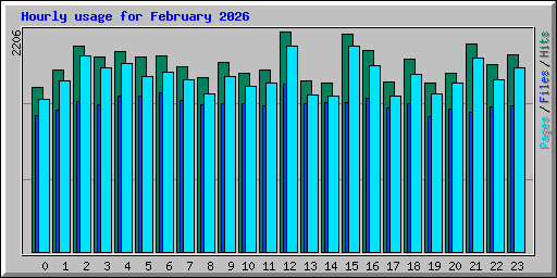 Hourly usage for February 2026
