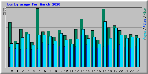 Hourly usage for March 2026