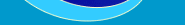 �C����ShellFish